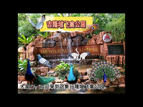 马来西亚 | 吉隆坡 | 飞禽公园 （1日旅游与自然和鸟类零距离亲近——2023）