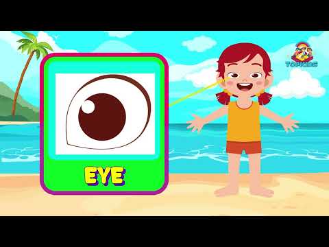 Kids Learning About Body Parts: TopKids Educational