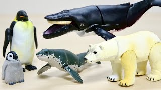 極地のいきもの ガチャ♪ ホッキョクグマ, コウテイペンギン, ヒョウアザラシ, ザトウクジラ