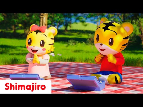 Picnic time 🥪 | Let's explore our luchbox with Shimajiro | Kids songs & Nursery Rhymes