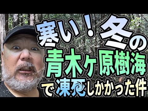 【樹海】寒い！冬の青木ヶ原樹海で凍シしかけた件【台風】