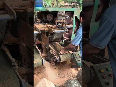 Wood cutting #wood #woodworking #machine #shortvideo #woodindustry #woodwork