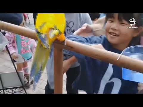 How to make children loving the animal (the Festival Zoo) in Japan - part 2