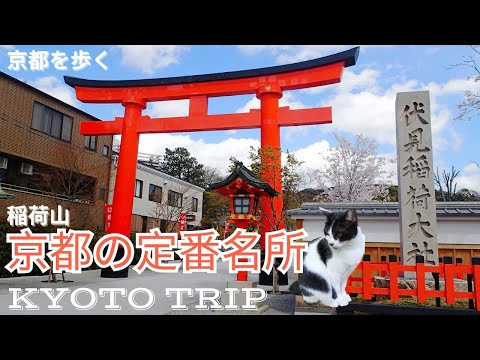 【京都熱門景點♡伏見稲荷大社】穿越無限鳥居爬上稻荷山｜稲荷山遇見可愛貓咪｜京都Day Trip｜KYOTO｜千本鳥居｜稲荷山最高點 一ノ峰｜稲荷大神｜京都散策｜京都散歩｜狐狸｜猫｜Inariyama