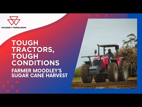 Sugar Coast Motors - AGCO Massey Testimonial for sugarcane farming