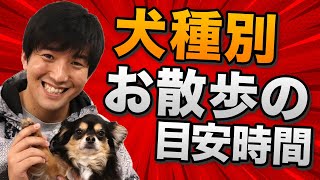 【犬種別】お散歩の目安時間まとめ