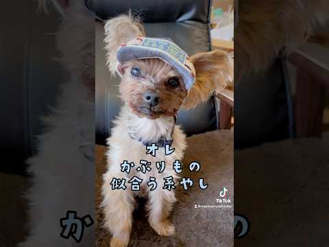 オレ、かぶりもの似合う系やし🐶✨