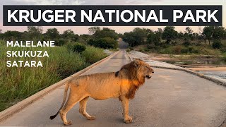 Kruger National Park - The Kruger Catwalk