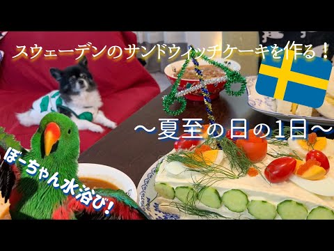 夏至の日の1日〜スウェーデンのサンドウィッチケーキを作る！〜オオハナインコ ボーちゃんの水浴び(Vlog風)