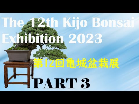 12th Kijo Bonsai Exhibition - 第12回 亀城盆栽展 2023 January (PART 3)