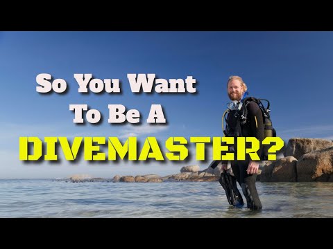 So you want to be a Divemaster?