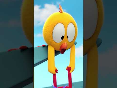 Chicky the saviour... or almost #chicky | Chicky Cartoon in English for Kids