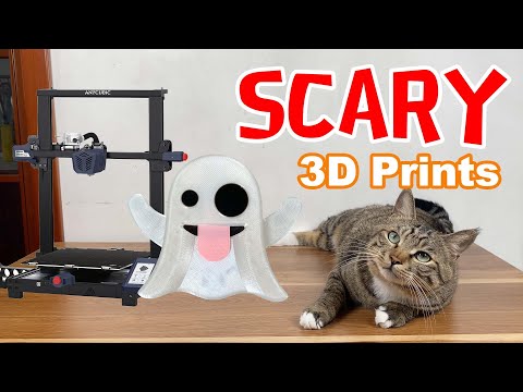 My cat is scared of GHOSTS | Anycubic Kobra Plus🙀