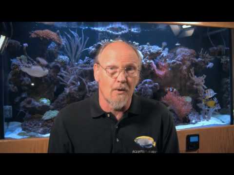 The Cyclinder Reef Tank, LA Fishguys, Episode 157, part 1