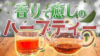 薬剤師がブレンドした心も体もホッとするハーブティ♪