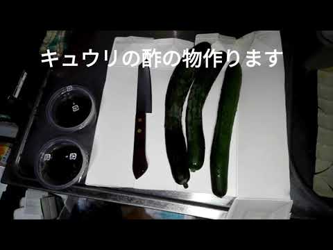 【今日の一品】キュウリの酢の物