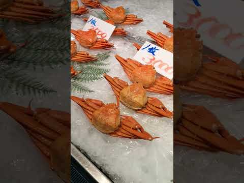 Crab in sakai port in Japan