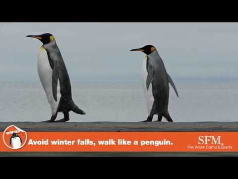 Avoid winter falls: Walk like a penguin