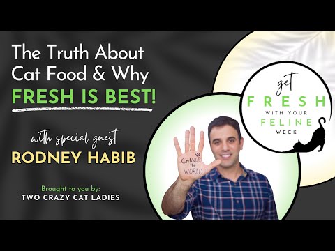 Why Feeding Fresh Matters with Rodney Habib | Get Fresh With Your Feline