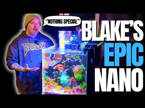 Blake's Epic "nothing special" Nano