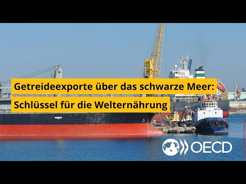 Getreideexporte über das Schwarze Meer – Schlüssel für die Welternährung