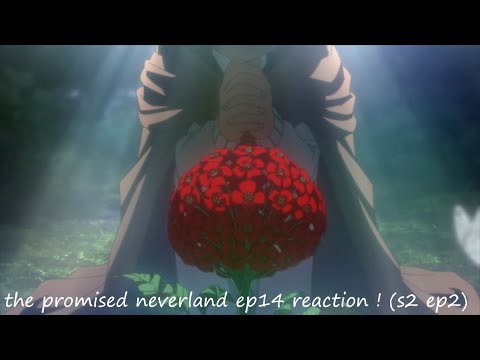 WHY A PIGEON FUNERAL~the promised neverland ep14 reaction ! (s2 ep2)