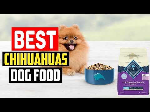 ✅Top 5 Best Dog Food for Chihuahuas in 2023