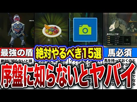 【ティアキン】後悔した時にはもう遅い！序盤にやっておくべき要素15選！！【ゼルダの伝説　ティアーズオブザキングダム】