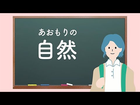 あおもりエトセトラ【自然】～あおもり自然の旅～