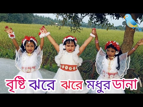 Bristi Jhore Jhore Modhur Dana/বৃষ্টি ঝরে ঝরে মধুর দানা/Bengali Song Dance Video/Srikanto Achary।🌧️🐦