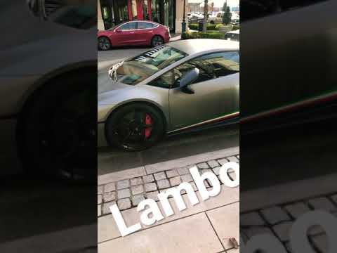 Lamborghini Performance Edition with Italian Side Decals