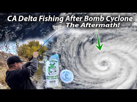 Late Fall Delta Fishing After a Bomb Cyclone Storm! #fishing #fish #bombcyclone #new #trending #yt