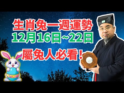 命理測算：屬兔人一週運勢（12月16日至22日），內含吉凶日，不可不看！ #2024年生肖兔運勢 #2024年生肖兔運程 #2024年屬兔運勢 #屬兔運程