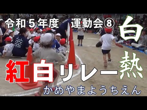 令和５年度　亀山幼稚園　大運動会⑧　紅白リレー