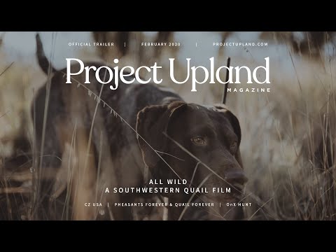 All Wild - Official Trailer - Southwestern Quail Hunting