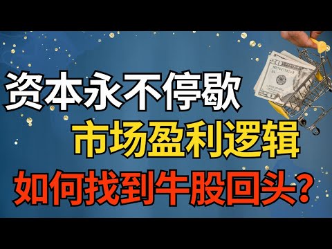 股票投资 | 资本永不停歇，市场盈利逻辑，如何找到牛股回头？#股票 #股票分析 #马股 #美股 #a股 #港股