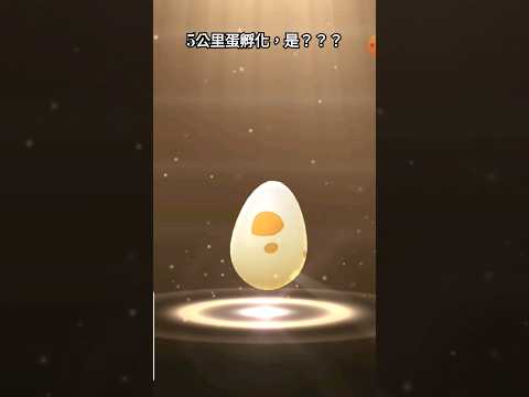 5公里蛋孵化，是？？？｜#pokémon #pokemongo #精靈寶可夢