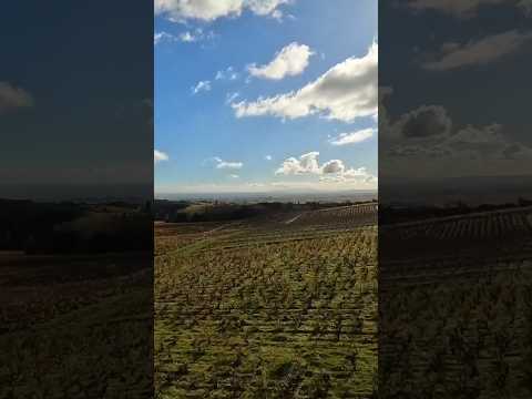 Drone Over Morgon CRU BEAUJOLAIS, France