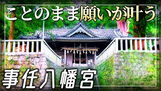 遠江国一宮【事任八幡宮】ことのまま願いが叶う神社で龍に呼ばれる【静岡県掛川市】