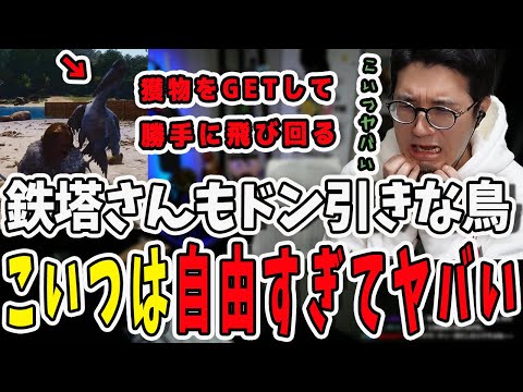 こいつは自由すぎてヤバい！やりたい放題のイクチオルニスにドン引きする鉄塔さん【三人称/ドンピシャ/ぺちゃんこ/鉄塔/ARK/切り抜き】