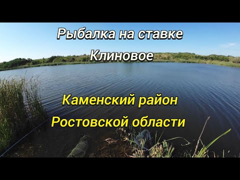 Рыбалка на ставке Клиновое. Ростовская область, Каменский район.