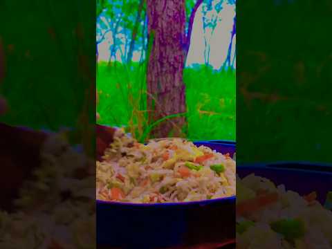 Fried Rice 🍚 #cookyourself #asmr #forestcamping #forestcooking