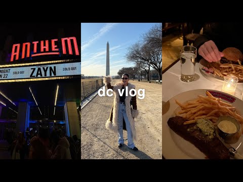 VLOG: a week in DC, zayn concert, + ikea trip