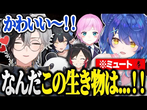 【LoL】突然ミュートであまみゃのかわいさについて語りだすオタクKamito【かみと/天宮こころ/うるか/夜よいち/夕陽リリ/切り抜き】