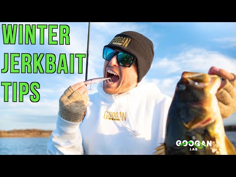 WINTER JERKBAIT Fishing TIPS! ( BASS FISHING BASICS )