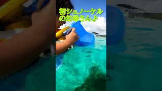 【石垣島貸切ツアー】初めてでも楽しめるシュノーケリング♪9月7日　シュノーケリングツアーの動画 #石垣島 #シュノーケリング#家族#貸切#4歳#子供