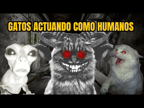 Historias de gatos actuando de forma aterradora. Segunda edición. Brujas con forma de gato.