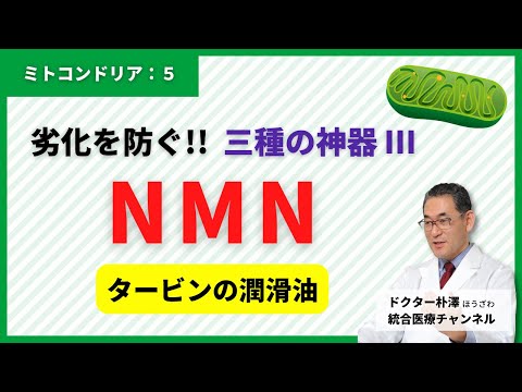 【医師解説：ミトコンドリア⑤最終回】ミトコンドリアのタービンを回す潤滑油、”NMN”のお話。