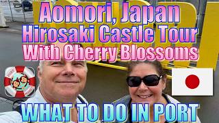 Aomori, Japan - Cherry Blossoms at Hirosaki Castle Tour - What to Do in Port  弘前城の桜ツアー