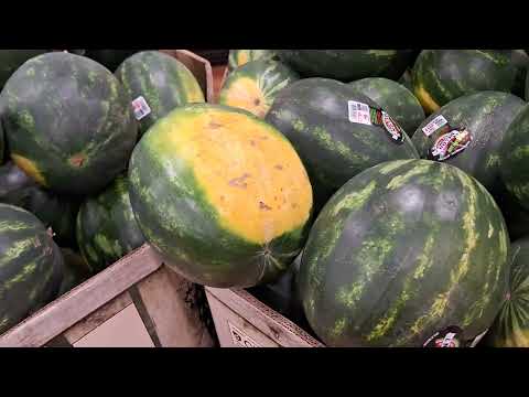 EL SECRETO DE ESCOGER LA sandia más dulceen el mercado o en su campo nunca me ha fallado